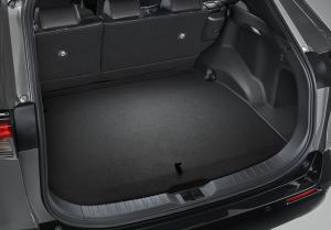 Toyota RAV4 PHV 2020 года  (JP)